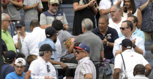 fan hit by foul ball